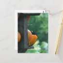Buscar oriole postales Naranja