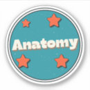 Buscar anatomía pegatinas Sistema esquelético