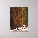 Buscar deer lienzos Árboles