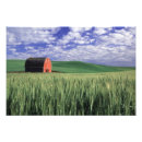 Buscar modelo rojo fotografía Campo