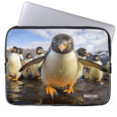 Buscar pingüinos fundas General y unisex
