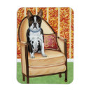 Buscar boston imanes Perros