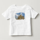 Buscar ciudadela camisetas Castillo