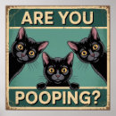 Buscar gatos negros lindos posters Gatito