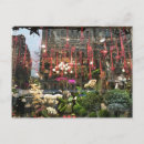 Buscar floristería postales Flores