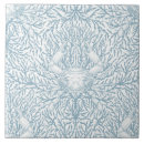 Buscar cangrejo azulejos Crustáceo