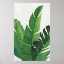 Buscar vida verde posters Tropical
