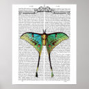 Buscar steampunk posters Butterflies