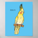 Buscar cockatiel posters Loro