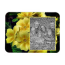 Buscar primaria imanes Para ella