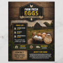 Buscar huevos flyers Rústico