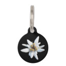 Buscar floración collares Para mascotas