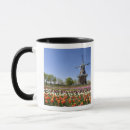 Buscar bulbos tazas Flor