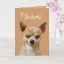 Buscar perro chihuahua tarjetas General y unisex
