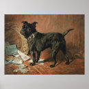 Buscar perro juguete posters Razas de perros