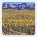 Buscar san luis pegatinas California