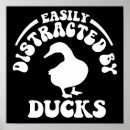 Buscar patos posters Pájaros