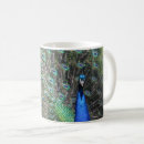 Buscar vida real tazas Pájaro