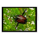 Buscar insecto malvado Escarabajos