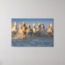 Buscar caballos blancos lienzos Playa
