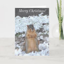 Buscar ardilla del invierno tarjetas Tarjeta de navidades