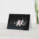 Buscar conejo blanco y negro tarjetas Fotografía