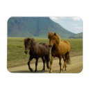 Buscar montañoso imanes Caballo