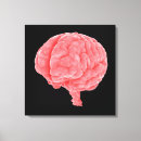 Buscar cerebro humano lienzos Atención sanitaria