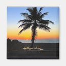 Buscar palmera tropical imanes Vacaciones