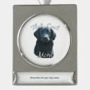 Buscar capa adornos Recuperador de recubrimiento plano