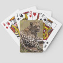 Buscar africa barajas de cartas Gato