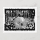 Buscar botellas postales Bebida