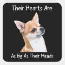 Buscar chihuahua pegatinas Animal