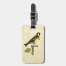 Buscar bifurcaciones accesorios Pájaro