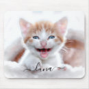 Buscar mascota alfombrillas de raton Imagen