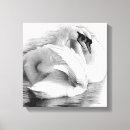 Buscar cisne amor arte Pareja