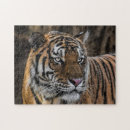 Buscar cara del tigre puzzles Animal