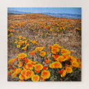 Buscar campo de la amapola puzzles Palomitas