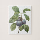 Buscar ciruela puzzles Naturaleza