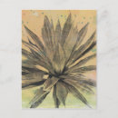 Buscar plantas verdes postales Hojas