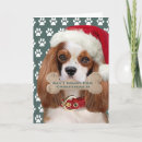 Buscar kiss tarjetas Perros