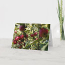 Buscar caída del árbol tarjetas Cosecha