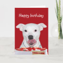 Buscar bull terrier tarjetas Amante del perro