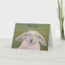 Buscar conejos blancos tarjetas Conejito
