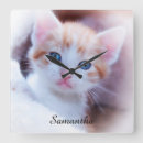 Buscar imagen del gato relojes de pared Foto