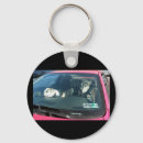 Buscar avispas llaveros Insecto