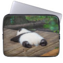 Buscar panda fundas Panda de bebé