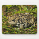 Buscar foco alfombrillas de raton Vida silvestre