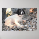 Buscar perro negro posters Espeleología