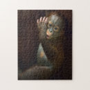 Buscar orangutanes puzzles Día